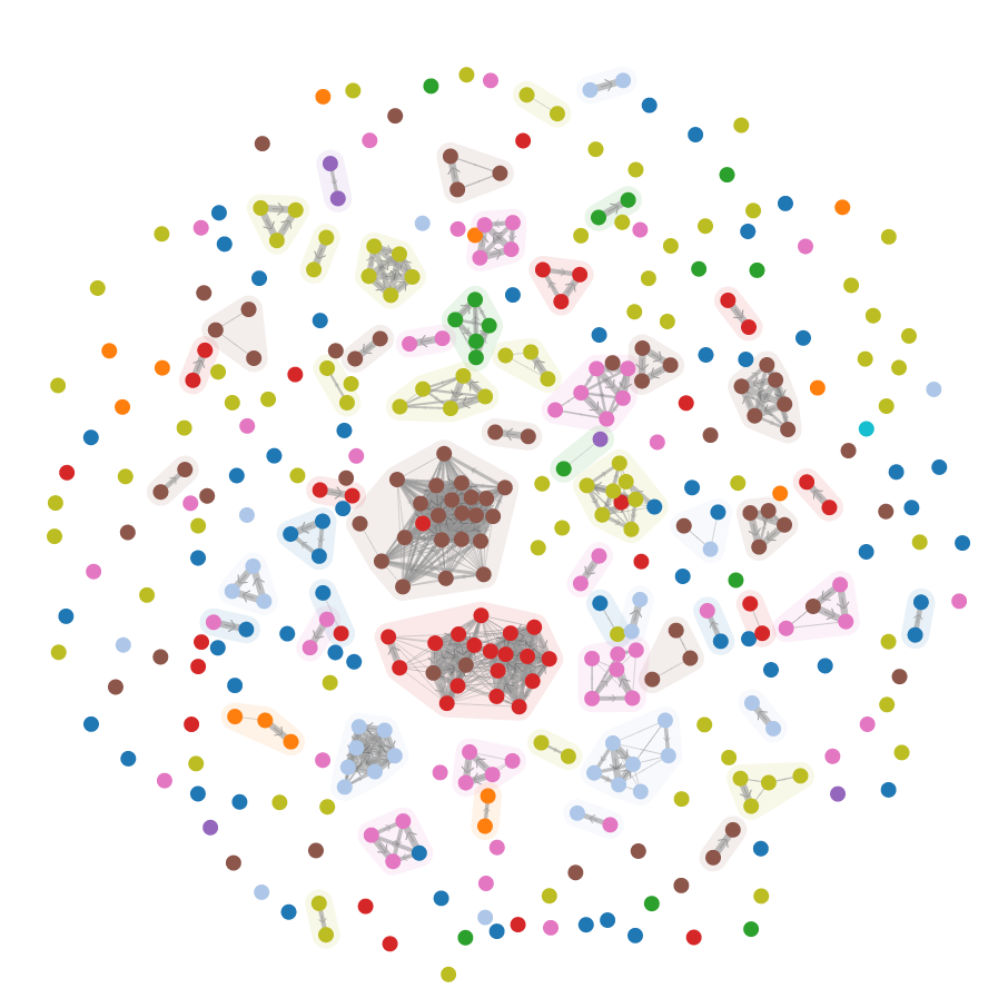 The Dolos plagiarism graph